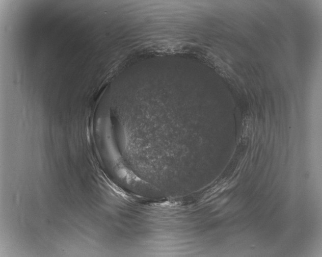 X0000076031202200609221045