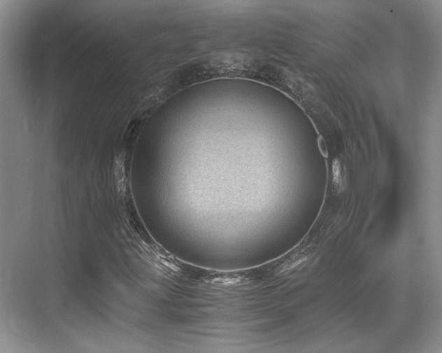 X0000076031203200609221045