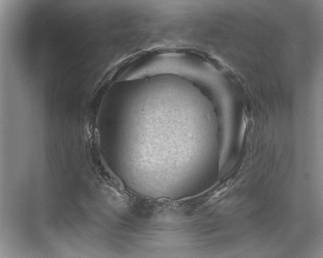 X0000076031206200609221045