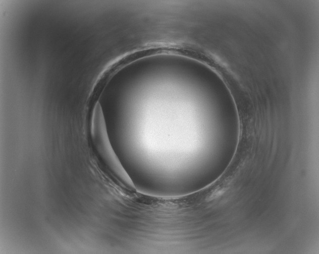 X0000076031214200609221045