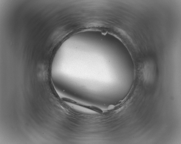 X0000076031217200609221045