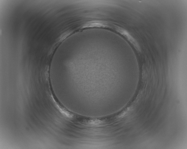 X0000076031233200609221045