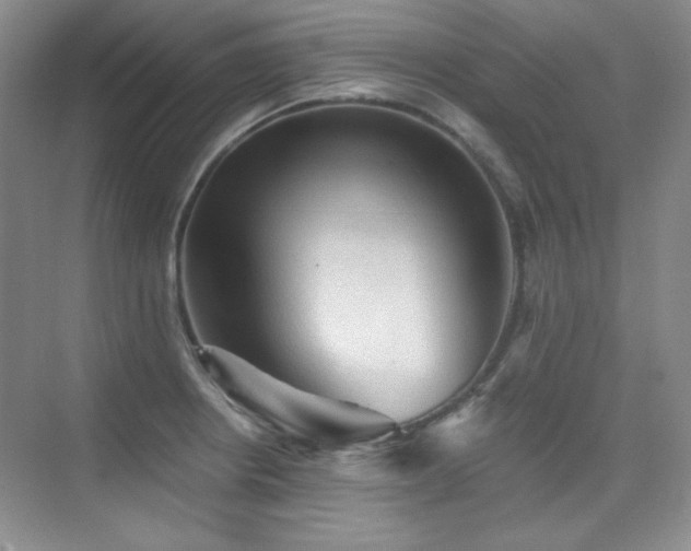 X0000076031234200609221045
