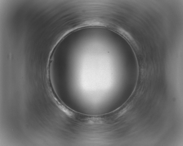 X0000076031236200609221045