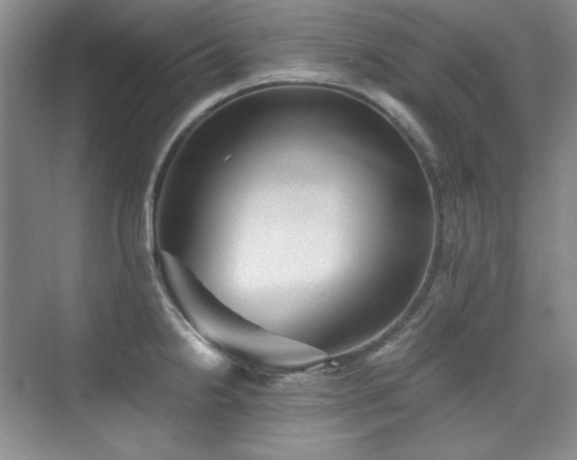 X0000076031238200609221045