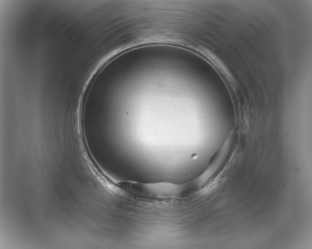 X0000076031246200609221045