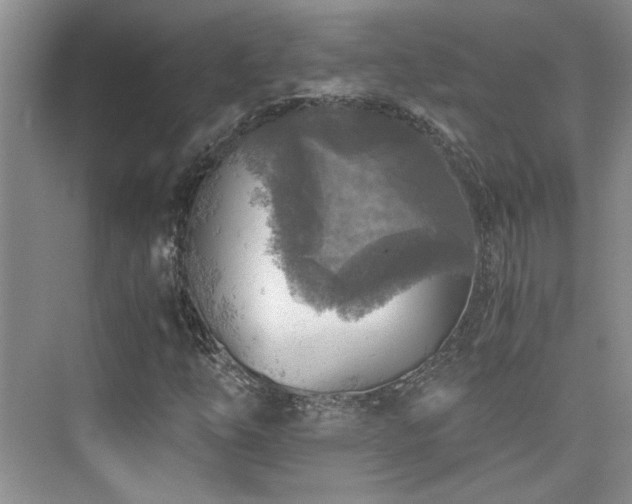 X0000076031254200609221044
