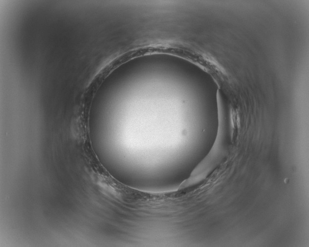 X0000076031256200609221044