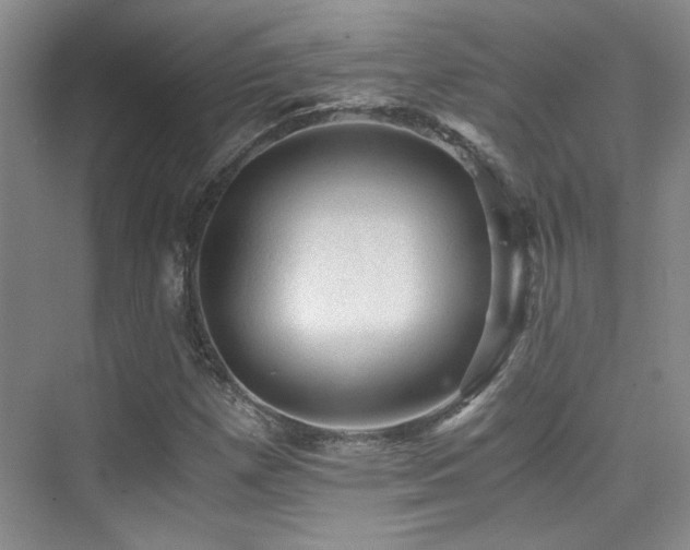 X0000076031257200609221044