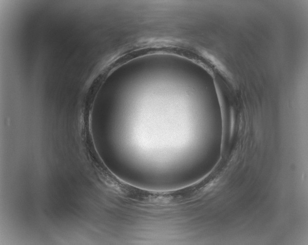 X0000076031261200609221044