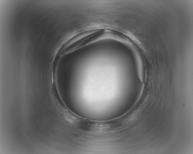 X0000076031269200609221044