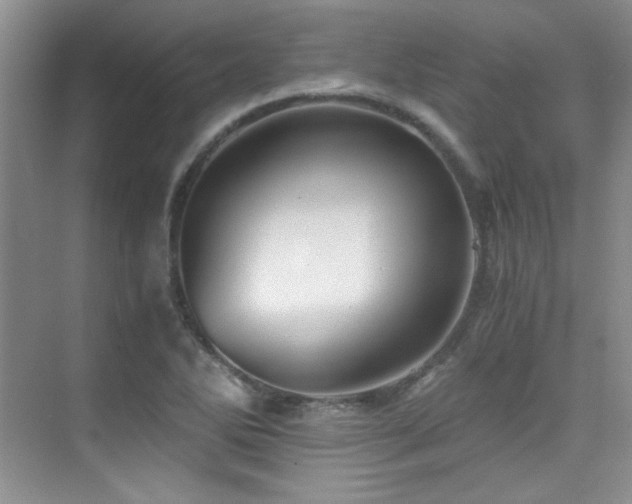 X0000076031270200609221044