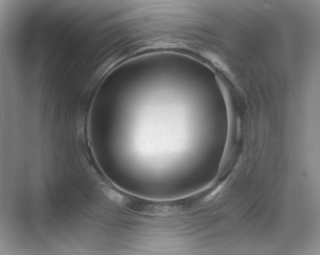 X0000076031273200609221044