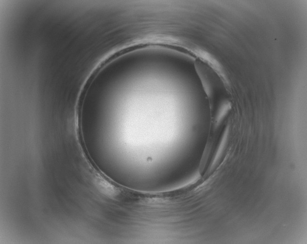 X0000076031280200609221044