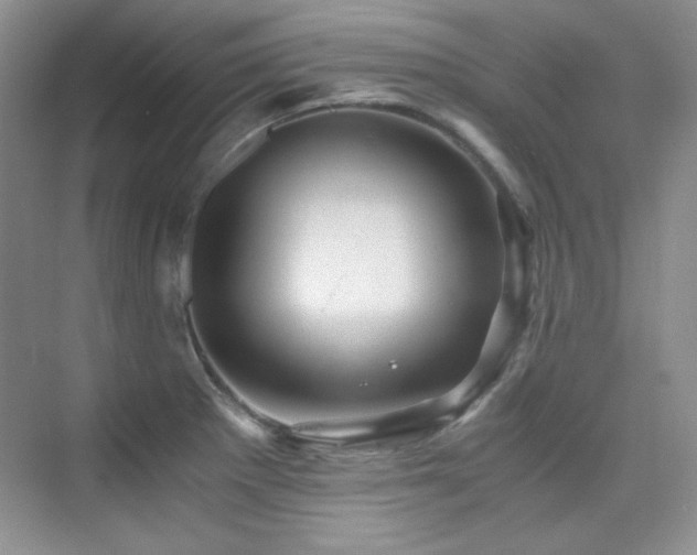 X0000076031281200609221044