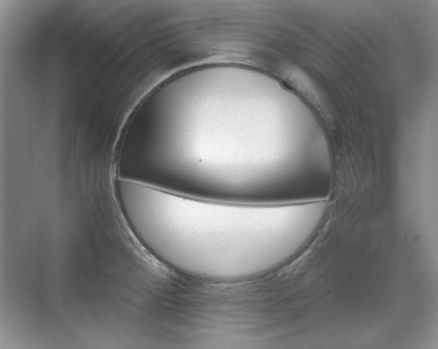 X0000076031284200609221044