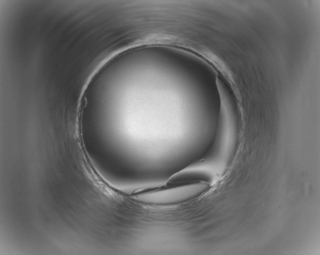 X0000076031296200609221044