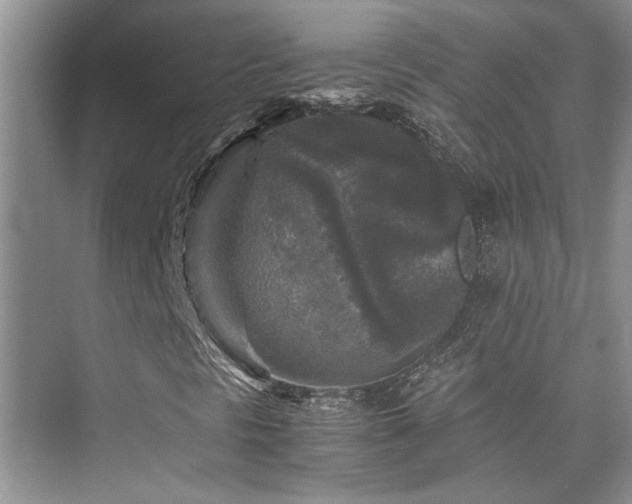 X0000076031297200609221043