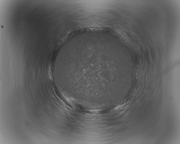 X0000076031298200609221043