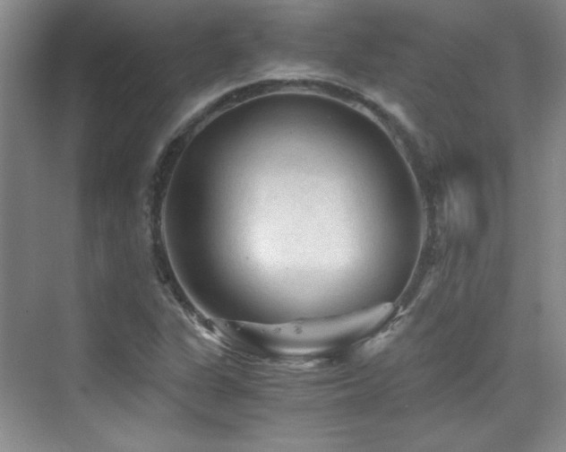 X0000076031311200609221043