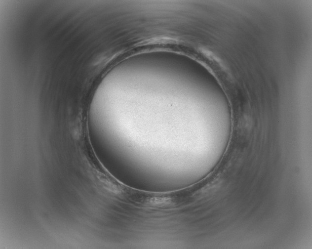 X0000076031313200609221043