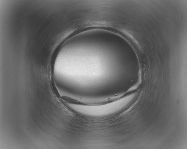 X0000076031317200609221043