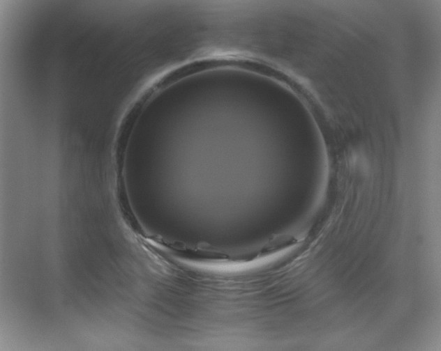 X0000076031319200609221043