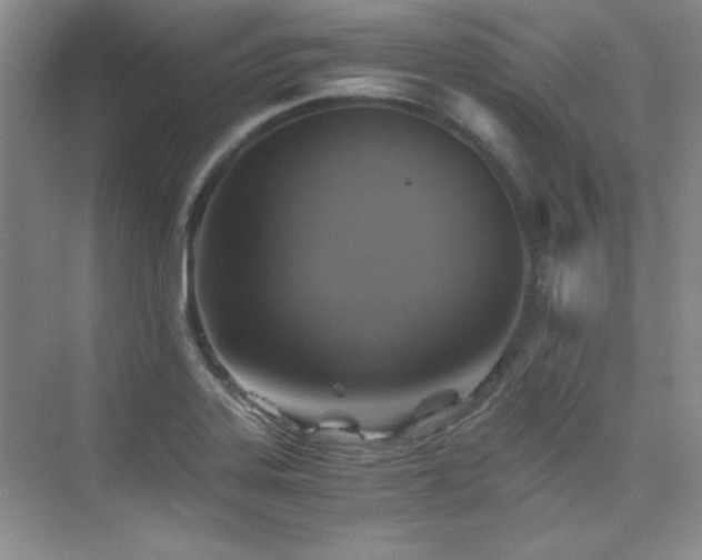 X0000076031323200609221043