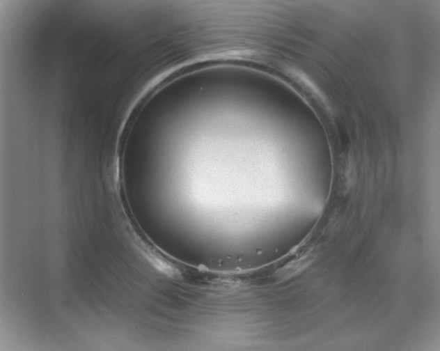 X0000076031324200609221043