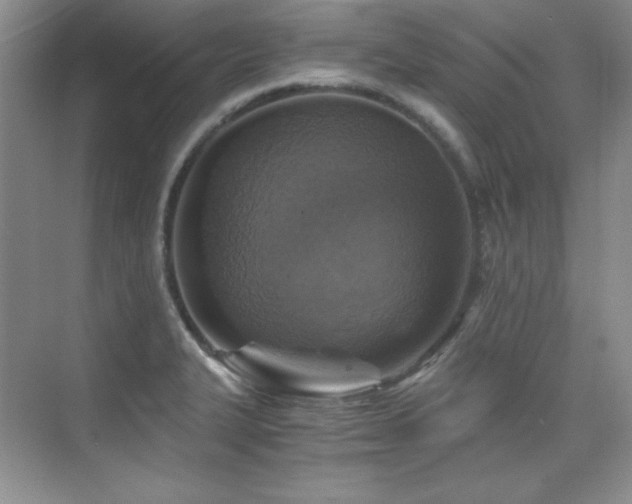 X0000076031327200609221043