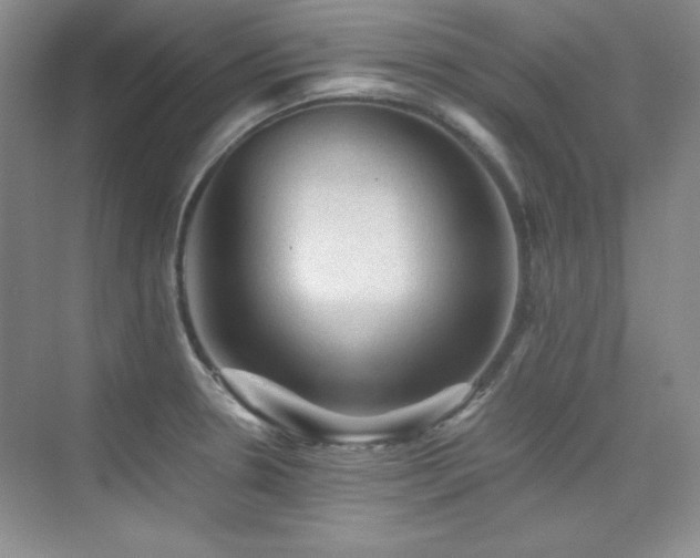 X0000076031330200609221044