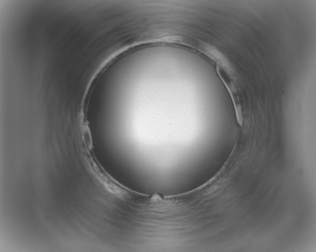 X0000076031332200609221044