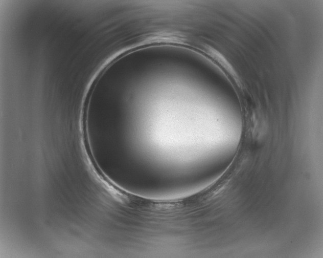 X0000076031339200609221044