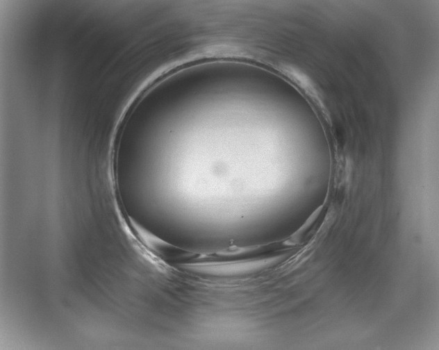 X0000076031342200609221044