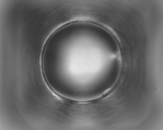 X0000076031343200609221044