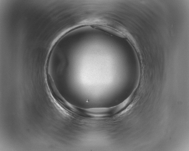 X0000076031344200609221044
