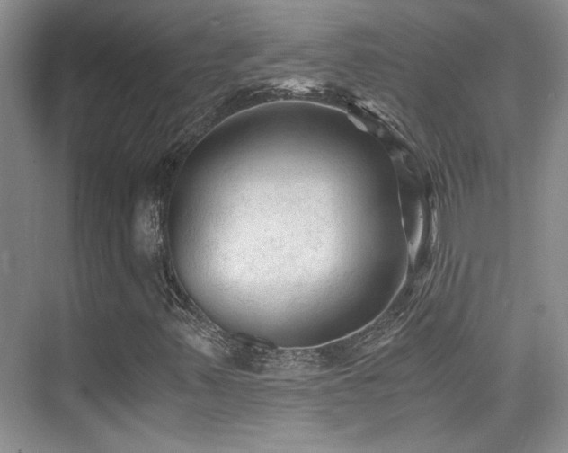 X0000076031347200609221043