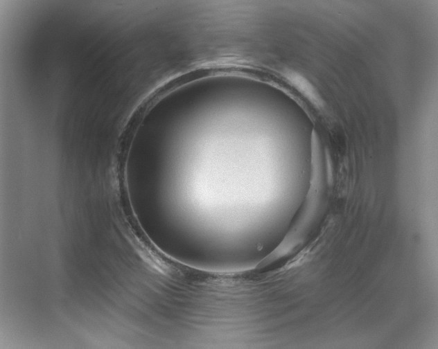 X0000076031356200609221043