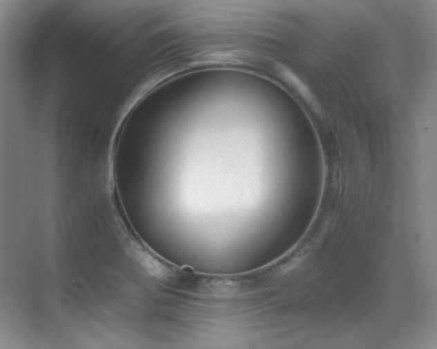 X0000076031370200609221043