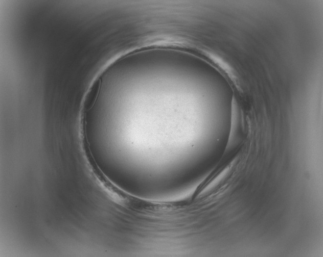 X0000076031375200609221042