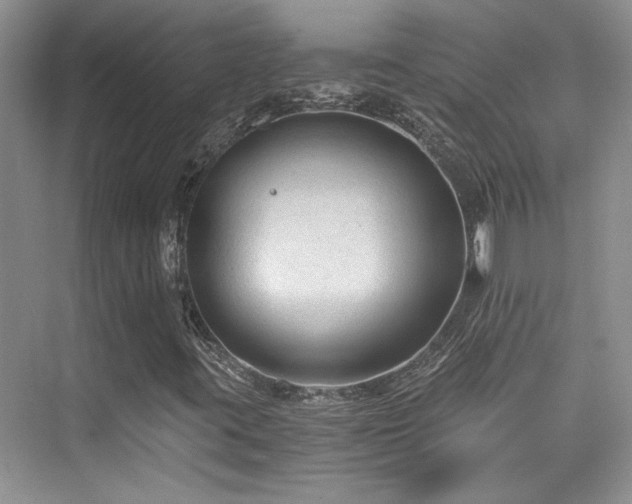 X0000076031395200609221041