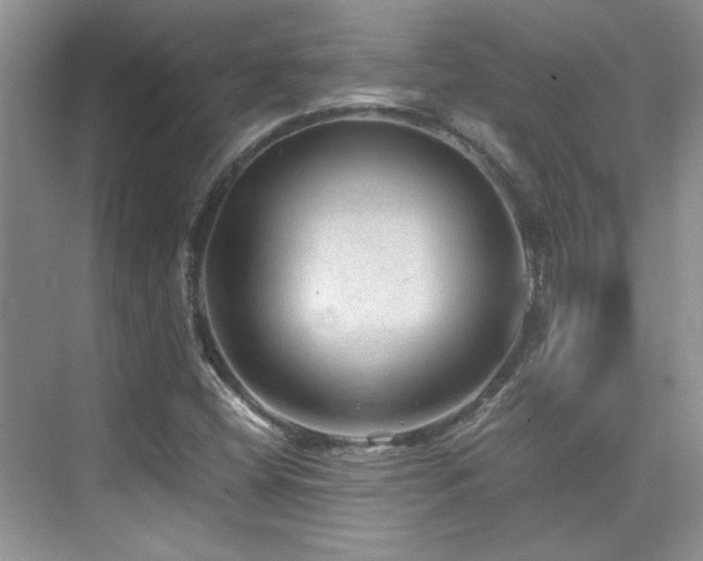 X0000076031404200609221042