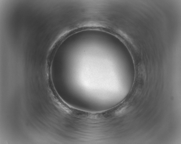 X0000076031408200609221042