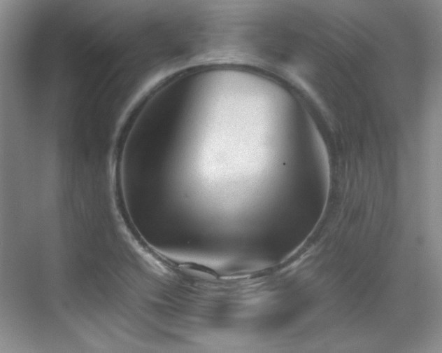 X0000076031416200609221042