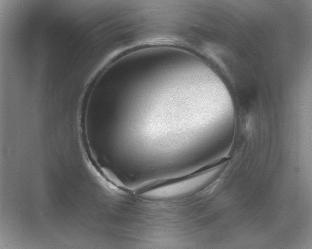 X0000076031422200609221042