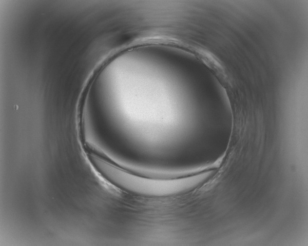 X0000076031430200609221042