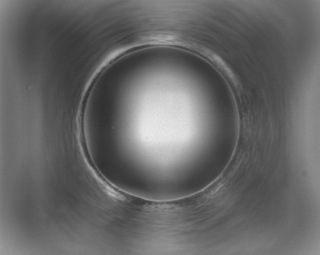 X0000076031432200609221042