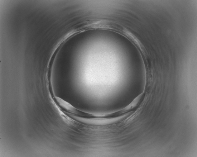 X0000076031434200609221042