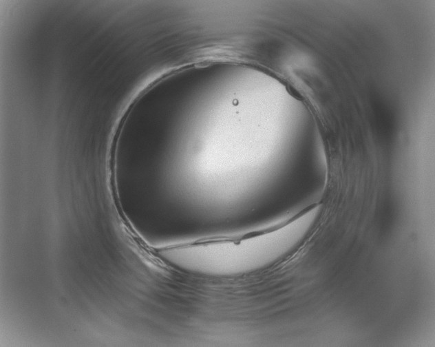 X0000076031435200609221042
