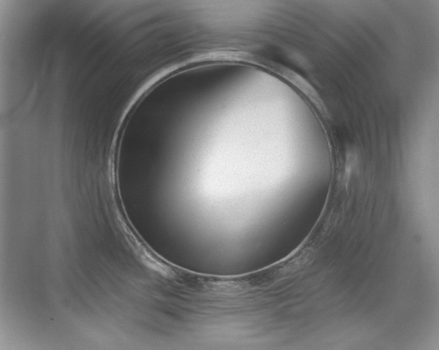 X0000076031436200609221042